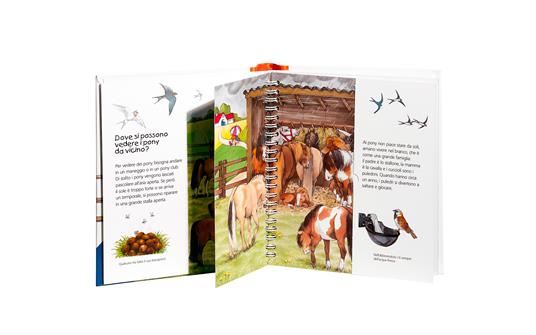 Il pony. Ediz. illustrata - Thea Ross - 3