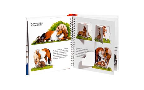 Il pony. Ediz. illustrata - Thea Ross - 4