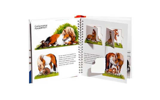 Il pony. Ediz. illustrata - Thea Ross - 4