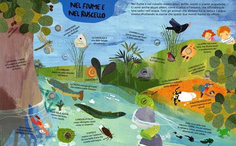In campagna e in fattoria. Ediz. illustrata - Gabriele Clima,Francesca Crovara - 3