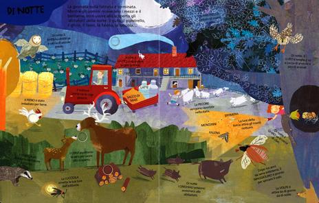 In campagna e in fattoria. Ediz. illustrata - Gabriele Clima,Francesca Crovara - 5