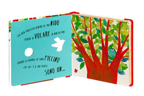 Toc... toc... Chi abita qui? Cucù chi sono? Ediz. illustrata - Maria Loretta Giraldo,Nicoletta Bertelle - 2