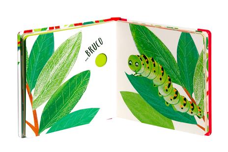 Toc... toc... Chi abita qui? Cucù chi sono? Ediz. illustrata - Maria Loretta Giraldo,Nicoletta Bertelle - 7