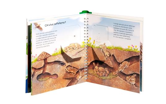 Dove vivono gli animali. Ediz. a colori - Anne Möller - 3