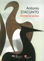 Antonio D'Acunto. Animal ex anima