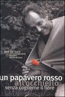 Nome prodotto