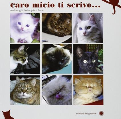 Caro micio ti scrivo.... Ediz. illustrata - copertina