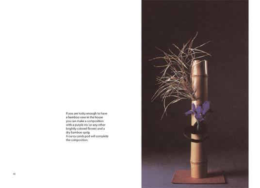 Un fiore con amore. Ediz. illustrata - Bruno Munari - 3