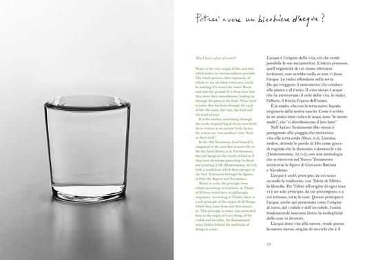 Nel paesaggio. Dialogo tra Remo Salvadori e Elio Franzini. Ediz. italiana e inglese - 3