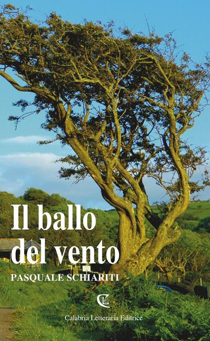 Il ballo del vento - Pasquale Schiariti - copertina