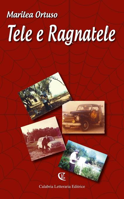 Tele e ragnatele - Marilea Ortuso - copertina