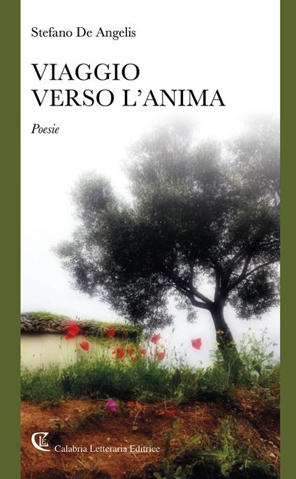 Viaggio verso l'anima - Stefano De Angelis - copertina