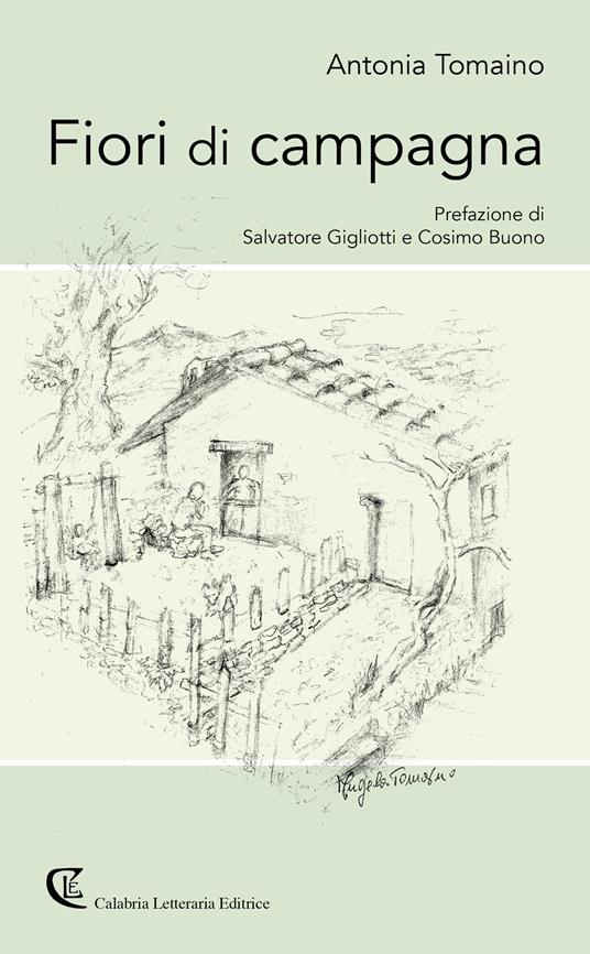 Fiori di campagna - Antonia Tomaino - copertina