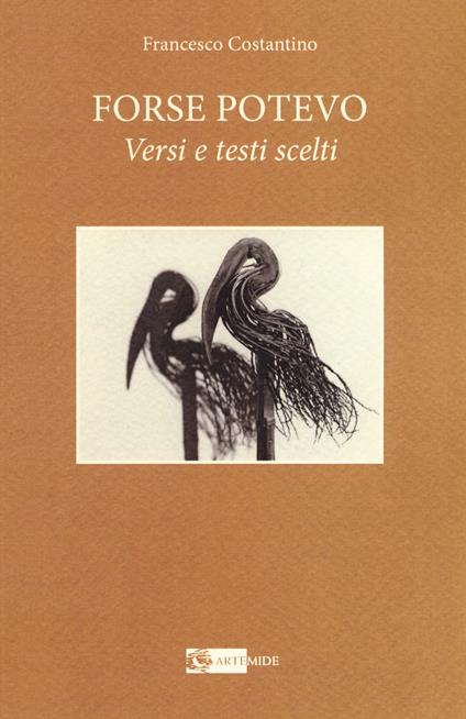 Forse potevo. Versi e testi scelti - Francesco Costantino - copertina