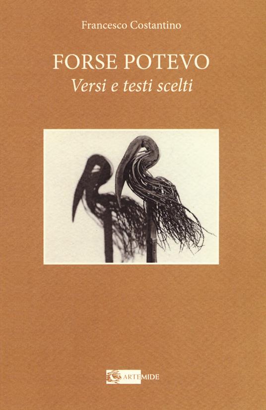 Forse potevo. Versi e testi scelti - Francesco Costantino - copertina