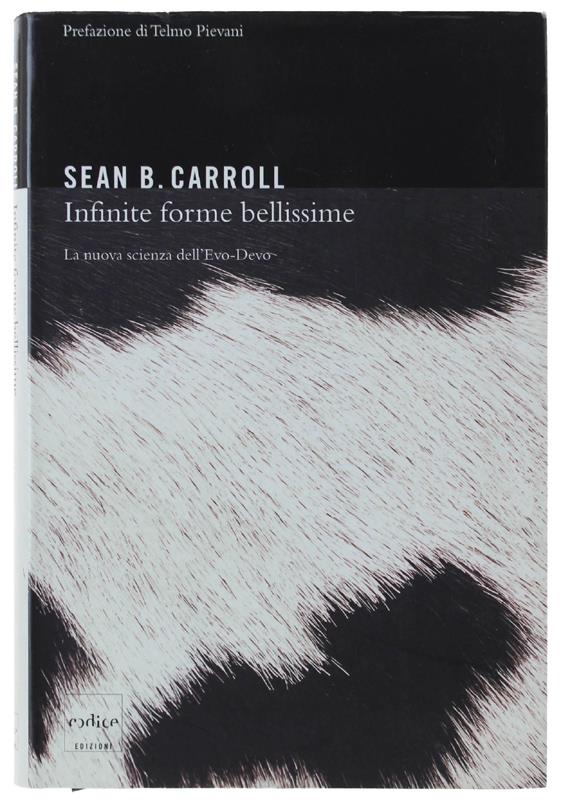 Bergoglio Libri d'Epoca Snc