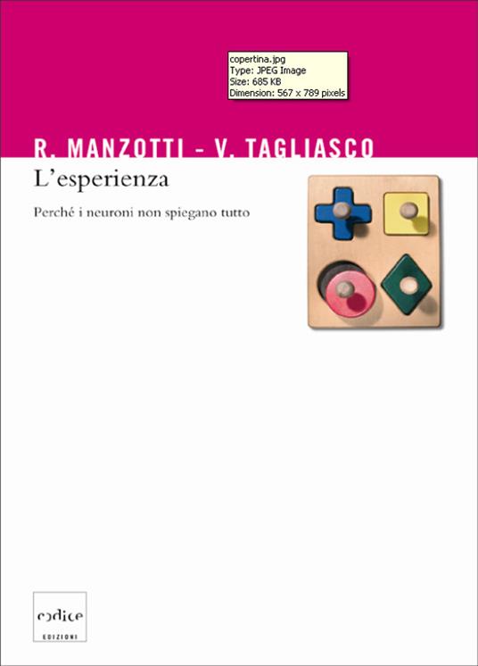 L' esperienza. Perché i neuroni non spiegano tutto - Riccardo Manzotti,Vincenzo Tagliasco - ebook