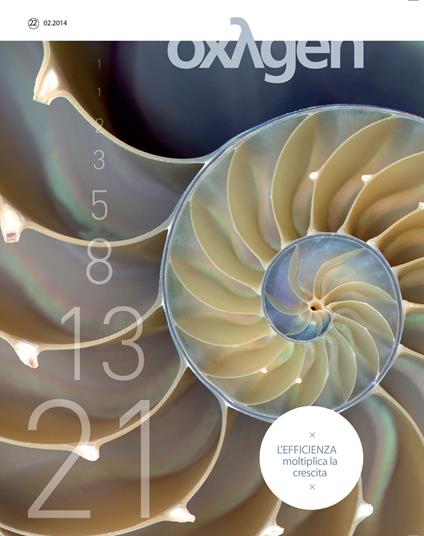 Oxygen. La scienza per tutti. Ediz. italiana e inglese. Vol. 22: L'efficienza moltiplica la crescita. - copertina