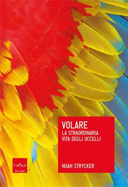 Volare. La straordinaria vita degli uccelli - Noah Strycker,Monica Belmondo - ebook