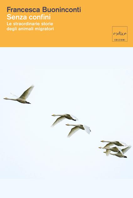 Senza confini. Le straordinarie storie degli animali migratori - Francesca Buoninconti - copertina