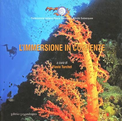 L' immersione in corrente - copertina