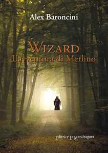 Wizard l'avventura di Merlino