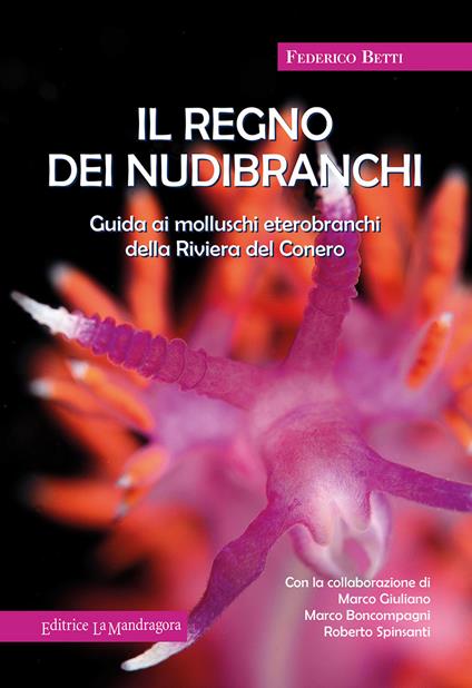 Il regno dei nubibranchi. Guida ai molluschi opistobranchi della riviera del Conero - Federico Betti - copertina
