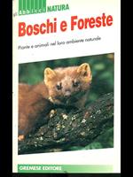 Boschi e foreste
