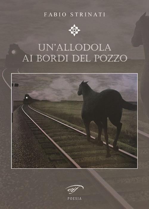 Un' allodola ai bordi del pozzo - Fabio Strinati - copertina