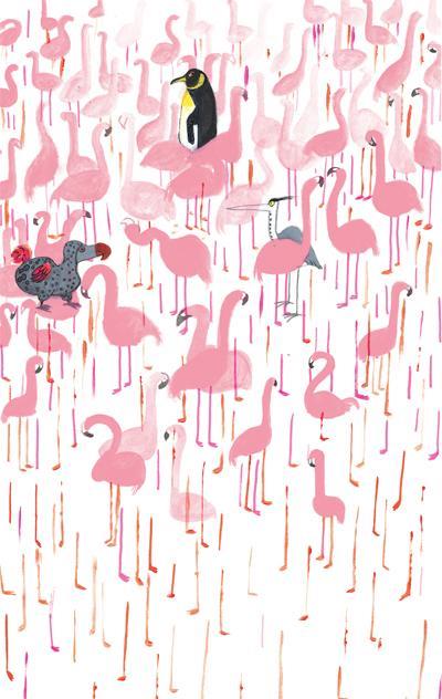 Felicottero. Ediz. a colori - Kim Crabeels - 5