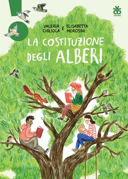 La costituzione degli alberi - Valeria Cigliola,Elisabetta Morosini - copertina