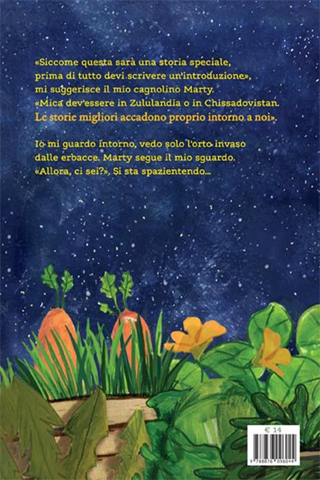 L'estate delle stelle cadenti - Cvetka Bevc - 6