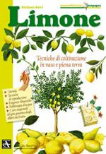 Limone. Tecniche di coltivazione in vaso e piena terra