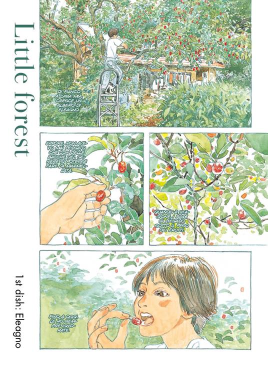 Little forest - Daisuke Igarashi - 2