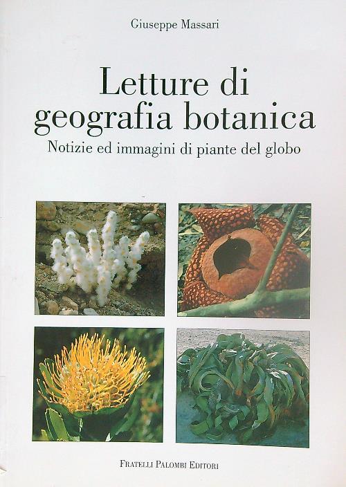 LIBRACCIO VINTAGE
