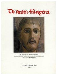 Il Cristo di Petrognano. Un capolavoro della scultura lignea medievale sulla via Francigena - copertina