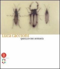 Luca Caccioni. Quello che sembra. Ediz. italiana e inglese - copertina