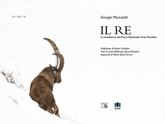 Il Re. Lo stambecco del Parco Nazionale Gran Paradiso. Ediz. multilingue - Giorgio Marcoaldi - copertina