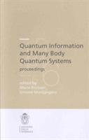 Quantum information and many body quantum systems-proceedings - copertina