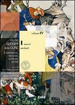 I nuovi luoghi delle cure. Comprendere, innovare, costruire, gestire. Vol. 4: I nuovi anziani.