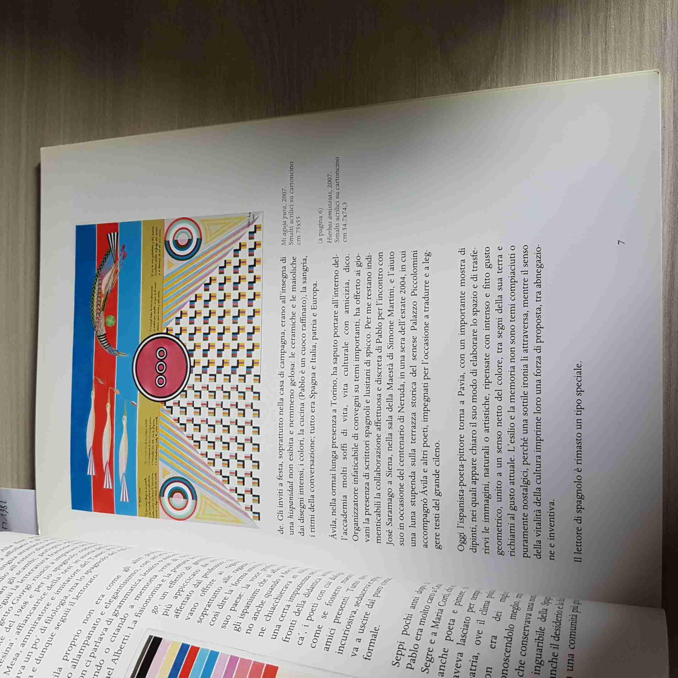 Pablo Luis Ávila. Fra colori e simboli