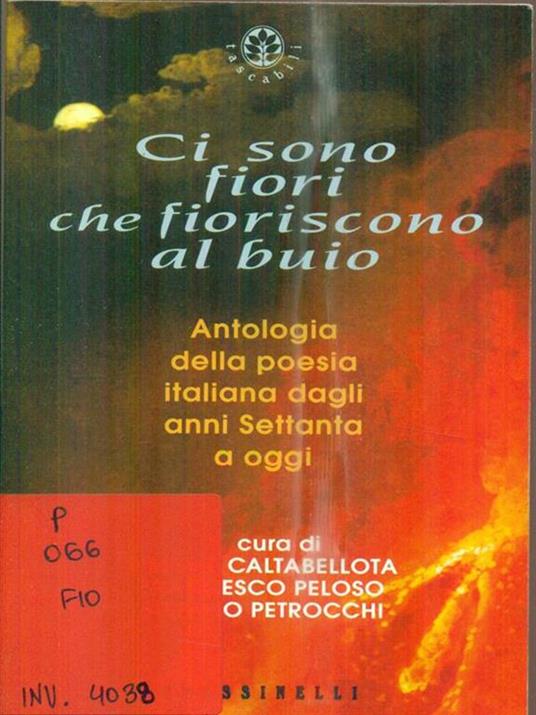 Ci sono fiori che fioriscono al buio. Antologia della poesia italiana dagli anni Settanta a oggi - 3