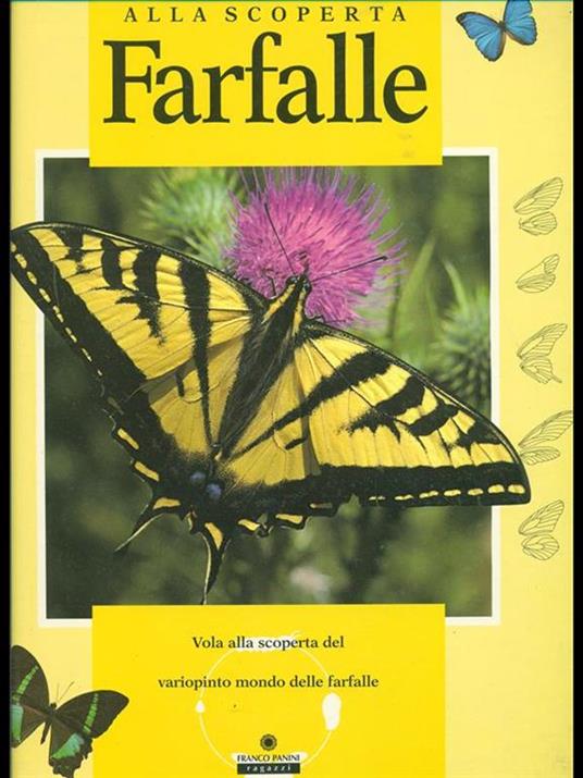 Farfalle. Vola alla scoperta del variopinto mondo delle farfalle - copertina