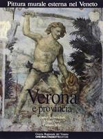 Pittura murale esterna nel Veneto. Vol. 3: Verona e provincia.