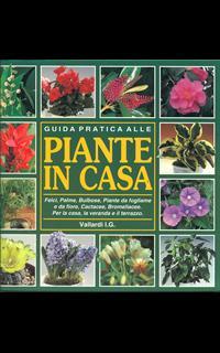 Guida pratica alle piante in casa