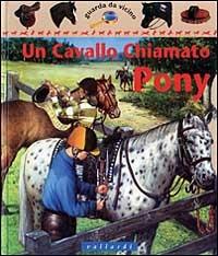 Un cavallo chiamato pony - Jackie Budd - copertina