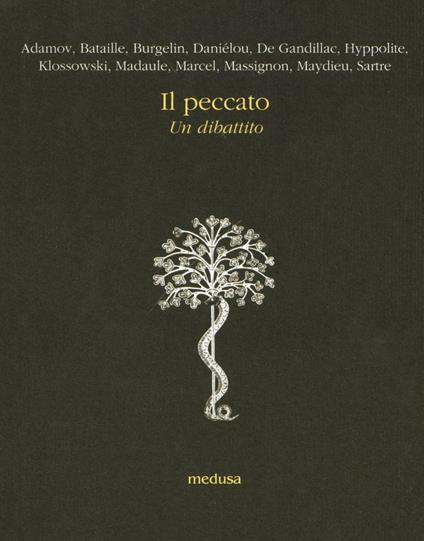 Il peccato. Un dibattito - copertina