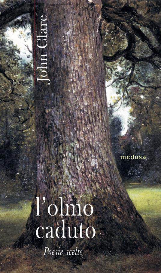 L' olmo caduto. Poesie scelte - John Clare - copertina