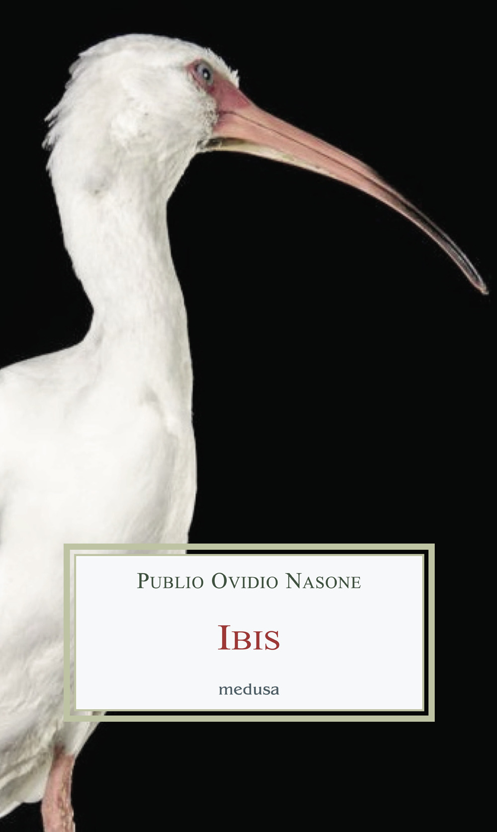 ibs