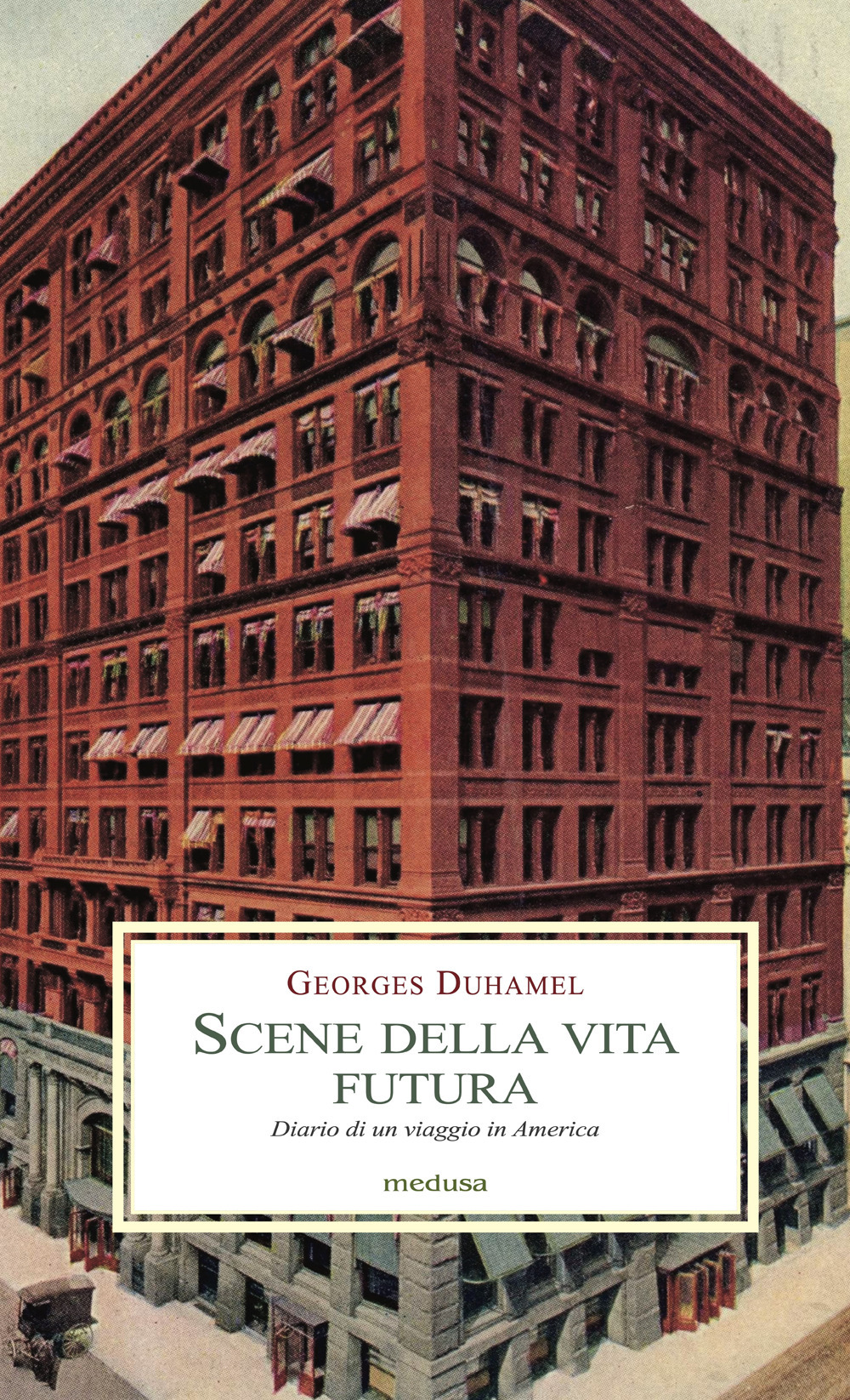 Libreria Dedalus